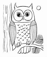 Owl Coloring Baby Pages Printable Animal Owls Colouring Animals Kids Sheets Cute Sheet Easy Print Simple Drawing sketch template