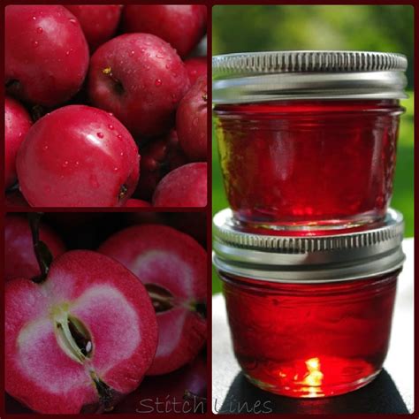 stitch lines spiced apple jelly recipe