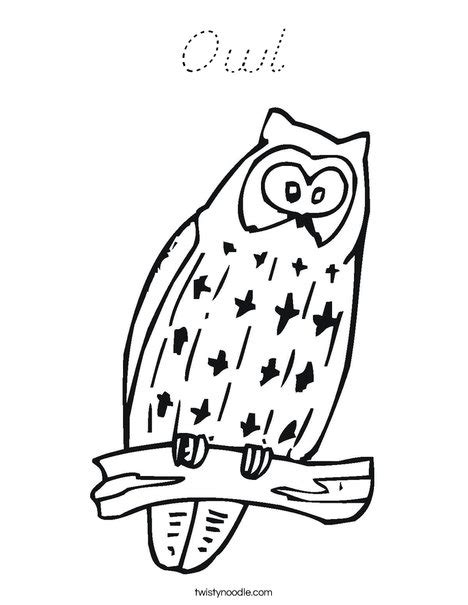 owl coloring page dnealian twisty noodle