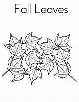 Leaves Coloring Fall Pages Maple Tree Leaf Autumn Season Color Drawing Printable Netart Getdrawings Getcolorings Print Drawings sketch template