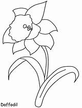 Daffodil Coloring Pages Flower Flowers Spring Printable Template Daffodils Print Kids Drawing Drawings Easy Clipart Cliparts Coloringpagebook Book Templates Daisy sketch template