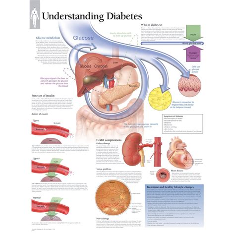scientific publishing understanding diabetes chart