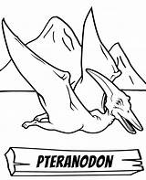 Pteranodon Coloring Dinosaur Sheet Print sketch template