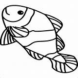 Fische Malvorlagen Inspirierend Fisch Malvorlage Jahreszeiten Genial sketch template
