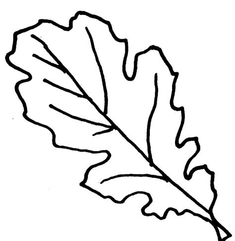 fall leaves coloring pages  kindergarten ta