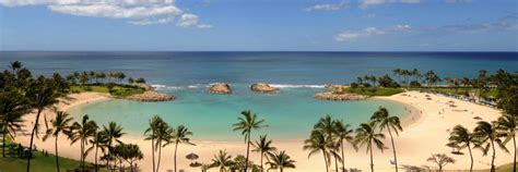 update aulani disney s new destination resort in hawai`i disney parks blog
