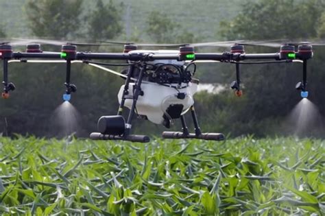 pregon agropecuario se amplia el uso de drones  fumigar cultivos agricultura