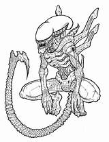 Aliens Xenomorph Predator Lineart Predador Giger Xenomorphs Predators Colorir sketch template