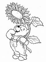 Coloring Pages Disney Spring Pooh Winnie Printable Sheets Print Kids Rose Sunflower Fall Colouring Color Adult Para Rocks Easter Discover sketch template