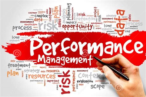 performance management process tamayyaz