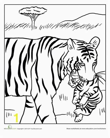 coloring pages  tiger cubs divyajanan