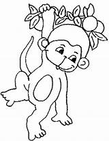 Monkey Coloring Pages Hanging Tree Baby Kids Cute Drawing Clipart Monkeys Printable Print Sheets Chubby Size Color Animals Safari Jungle sketch template
