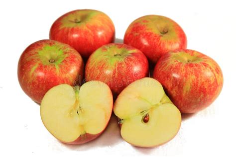 fresh apple stock photo image  delicious ingredient