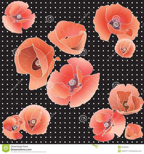 seamless pattern  red poppy stock illustration illustration