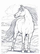 Horse Coloring Pages Printable Kids Horses Print Realistic Color Sheets Colouring Drawing Adult Drawings Adults Ages Outline Book Head Bestcoloringpagesforkids sketch template