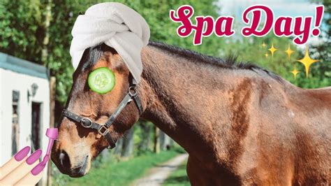 spa day   horse youtube