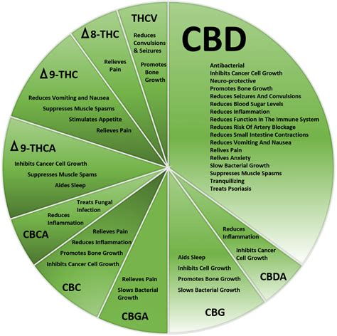 hemp cbd oil education cannabis thc cbd terpenes
