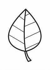 Leaf Coloring Pages Large sketch template