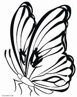 Butterfly Coloring Pages Printable Simple Line Drawing Monarch Butterflies Cocoon Colouring Cool2bkids Color Drawings Kids Getcolorings Easy Clipart Clipartmag Dazzling sketch template