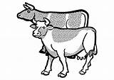 Mucche Vacas Kleurplaat Koeien Educima Stampare sketch template