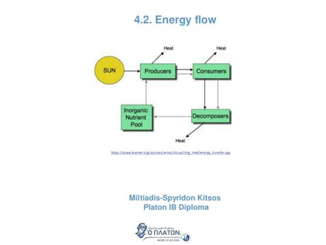 topic  energy flow