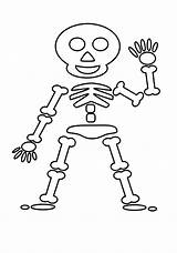 Skeleton Kidsworksheetfun sketch template