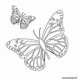 Papillon Mandalas Mariposa Coloriages Gratuit sketch template