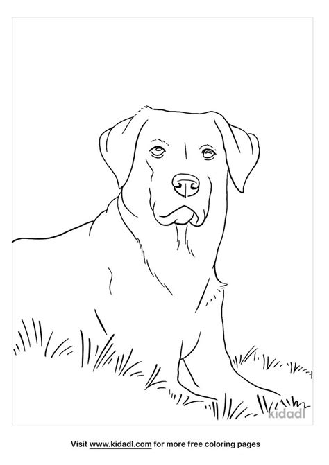 black lab coloring pages  animals coloring pages kidadl puppy