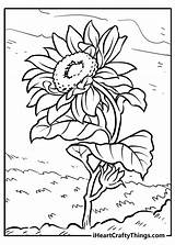 Sunflower Iheartcraftythings sketch template