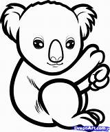 Koala Draw Baby Coloring Bear Drawing Pages Cute Outline Step Line Kids Simple Clipart Bears Sketch Animals Colouring Koalas Drawings sketch template