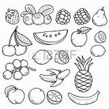 Currants Coloring Designlooter Fruits Berries Drawn Sketch Hand Style sketch template