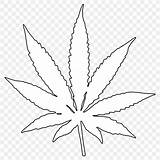 Leaf Weed Pot Outline Cannabis Drawing Coloring Clip Transparent Book Pngitem sketch template