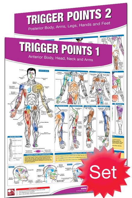 trigger point poster set clinical charts and supplies
