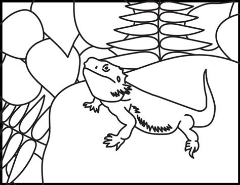 bearded dragon coloring page coloring home