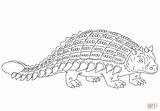 Ankylosaurus Anchilosauro Ausmalbilder Armored Nodosaurus Dinosauri Dinosaurier Ausmalbild Kleurplaat sketch template