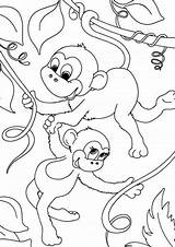 Mewarnai Monkey Monyet Tulamama Teman sketch template