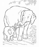 Sketsa Gajah Hewan Putih Hitam Elephants Diposting sketch template