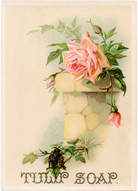 vintage soap ad pink roses  graphics fairy
