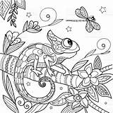 Chameleon Antistress Kameleon Lizard Tekening Illustrazione Zentangle Dragonfly Libellula Camaleonte Cinese Lucertola Inchiostro Spazzola Sterren Libel Hagedis 8x11 Dieren Reptielen sketch template