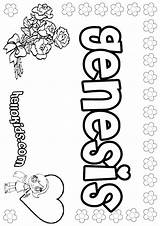 Genesis Coloring Pages Template sketch template