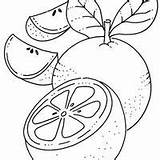 Laranjas Laranja Fruta Tudodesenhos sketch template
