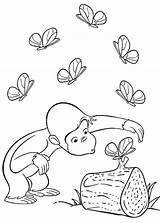 George Curious Coloring Pages Printable Butterflies Playing sketch template