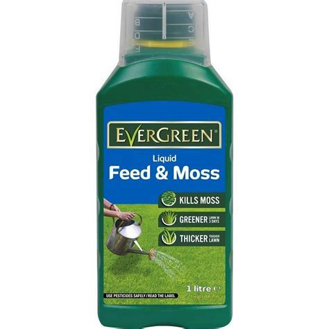 miracle gro evergreen liquid feed moss  bargain store uk