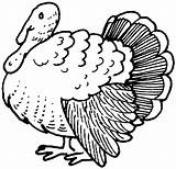 Turkey Coloring Pages Thanksgiving Drawing Animals Clipart Printable Turkeys Cliparts Wild Domestic Porcupine Clip Feathers Colouring Supercoloring Gif Library Popular sketch template