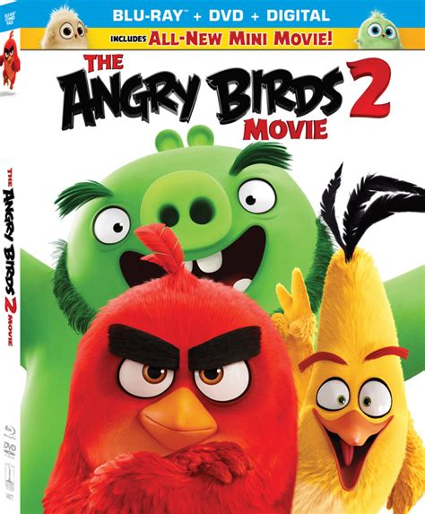 the angry birds movie 2 4k blu ray dvd digital