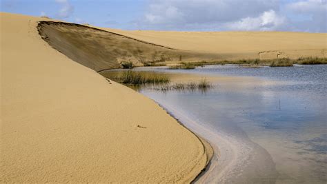 mar  desierto en el parque natural de las dunas de corrubedo