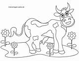 Kuh Malvorlage Malvorlagen Kleurplaat Koe Kleurplaten Boerderij Kinderbilder Tiere Te Kleinkinder Großformat öffnen Bauernhof sketch template