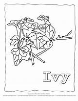 Ivy Coloring Pages Leaf Leaves Printable Template Doodle Lets Templates Zentangle Color Kids Wildlife Wonderweirded Crafts Nature Outlines Species Form sketch template