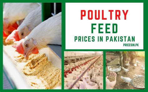 poultry chicken feed prices  pakistan  kg bag rate