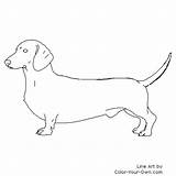 Dog Coloring Dachshund Pages Color Chiweenie Own Printable Outline Templates Colouring Weiner Dachshunds Drawing Drawings Stencil Koirat Värityskuvia Cricut Väritystehtäviä sketch template